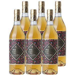 Les Frères Moine Pineau des Charentes Tradition Blanc  Vin AOC Blanc du Sud-Ouest Lot de 6x75cl Cépages Ugni Blanc, Colombard - Publicité