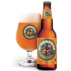 PLANET BISON Bière St Ambroise à l'Abricot 5° 34CL - Publicité