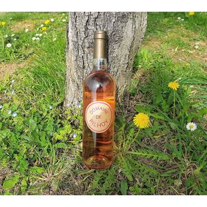 Vin Rosé AOC Bordeaux - 75cl - En direct de Domaine de Pilhoy (Gironde) - Publicité