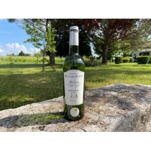 AOC Bergerac Blanc Sec Domaine de Moulin-Pouzy Tradition - 75cl - En direct de Vignobles Fabien Castaing (Dordogne) - Publicité