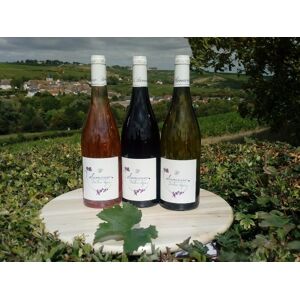 Coffret Decouverte Trio Sancerre : Blanc - Rouge - Rose - En direct de Domaine Doudeau-Leger (Cher)