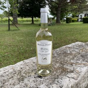 AOC Côtes de Bergerac Blanc Moelleux Domaine de Moulin-Pouzy Tradition - 75cl - En direct de Vignobles Fabien Castaing (Dordogne) - Publicité
