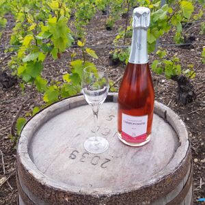 Champagne Deneufchatel Brut Rosé 1 X 75 Cl - En direct de Champagne Deneufchatel (Marne) - Publicité