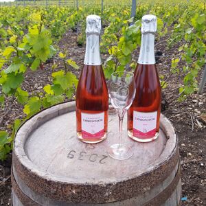 Champagne Deneufchatel Brut Rosé 2 X 75 Cl - En direct de Champagne Deneufchatel (Marne) - Publicité