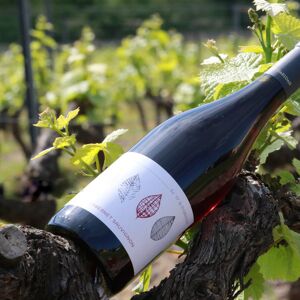 Vin Cabernet Sauvignon Rouge 2016 - En direct de Domaine Daridan (Loir-et-Cher) - Publicité