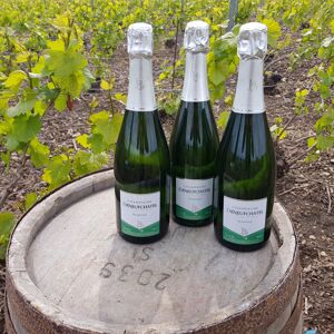 Champagne Deneufchatel Brut Tradition 3 X 75 Cl - En direct de Champagne Deneufchatel (Marne) - Publicité