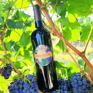 Vin Rouge AOC Bordeaux Cuvée Père & Fille 2019 - En direct de Domaine de Pilhoy (Gironde) - Publicité