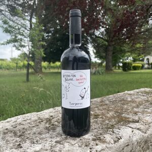 AOC Bergerac Rouge Retiens ton soufre 2019 - 75cl - En direct de Vignobles Fabien Castaing (Dordogne) - Publicité