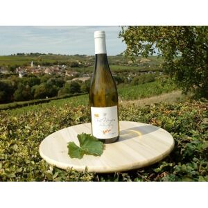 Vent d'Ange - Vin de Pays du Val de Loire Blanc IGP 2023 - 1 Bouteille - En direct de Domaine Doudeau-Leger (Cher) - Publicité