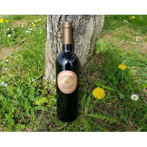 Vin Rouge AOC Bordeaux - En direct de Domaine de Pilhoy (Gironde) - Publicité