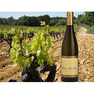 Cuvee Therese 2019 Blanc sec BIO - Vieilles Vignes de Viognier - AOP Côtes du Rhône Villages - En direct de Chateau Saint Esteve d'Uchaux