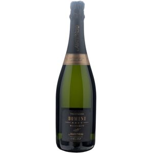 Ahead Abate Nero Trentodoc Domini Nero Brut Millesimato 2017 - Publicité