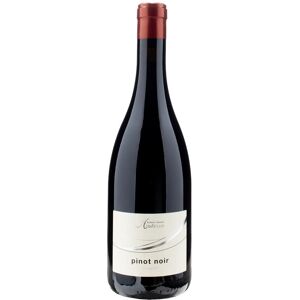 Cantina Andriano Pinot Noir 2023 - Publicité