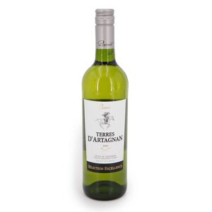 Vin blanc sec IGP Côtes de Gascogne 2020 75cl TERRES D ARTAGNAN - Publicité