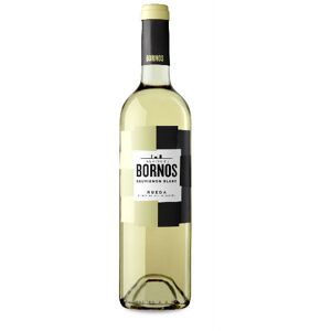 Palacio de Bornos Sauvignon Blanc 2022