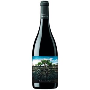 Proyecto Garnachas de España La Garnacha Salvaje del Moncayo 2021