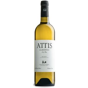 Attis Bodegas y Viñedos Bodegas Y Vinedos Attis 'Attis' Albarino 2023 - Publicité