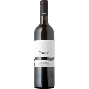 Fantinel Refosco dal Peduncolo Rosso 'Borgo Tesis' 2021