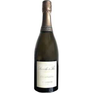 Bereche et Fils Champagne Extra Brut Grand Cru 'Aÿ' 2015