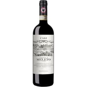 Castello di Meleto Chianti Classico Gran Selezione 'Vigna Casi' 2019