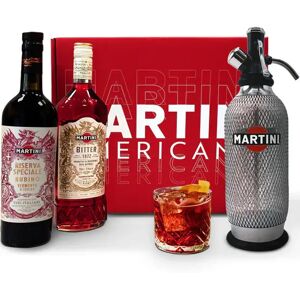 Martini Kit Cocktail Americano 160°