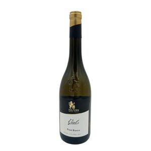 Cantina di Caldaro - Kellerei Kaltern Pinot Bianco 'Vial' Cantina di Caldaro Kaltern 2021