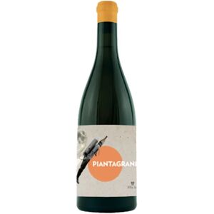 Villa Job Pinot Grigio 'Piantagrane' 2022