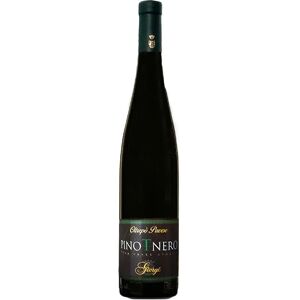 Giorgi Pinot Nero Frizzante Vinificato in Bianco 2023