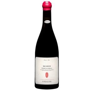 Foradori Teroldego 'Morei Cilindrica' Magnum 2018