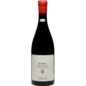 Foradori Teroldego 'Morei' Magnum 2017