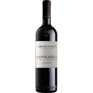 Domini Veneti Valpolicella Classico 2023