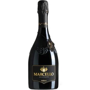 Ariola Lambrusco Spumante 'Marcello Millesimato'