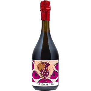 Vitivinicola Fangareggi Lambrusco 'Vigna Nera' Fangareggi