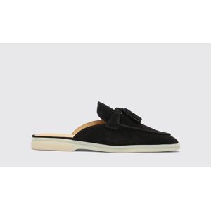 Scarosso Lucrezia Black Suede Edit  - Donna Mules Black Edit - Suede 39