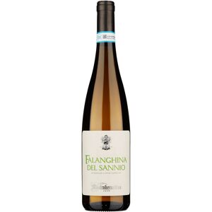 Mastroberardino Falanghina Del Sannio Doc 2023