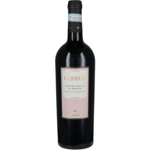 Santi Valpolicella Classico Doc Le Caleselle 2023