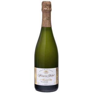 Domaine Françoise Bedel & Fils Champagne Brut L Âme De La Terre 2010