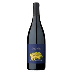 Elena Walch Alto Adige Pinot Nero Ludwig 2021