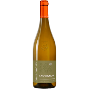 sauvignon blanc - loire rebelle 2023 - dumnacus vignerons