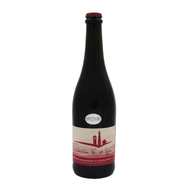 van de sype lambrusco grasparossa di castelvetro 2021