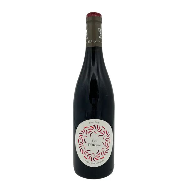 piccolo bacco dei quaroni pinot nero 'vigneto la fiocca' 2019