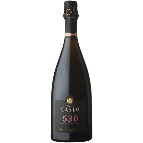 tenuta di caseo metodo classico brut rose da pinot nero 530 - tenuta caseo - 0,75 l