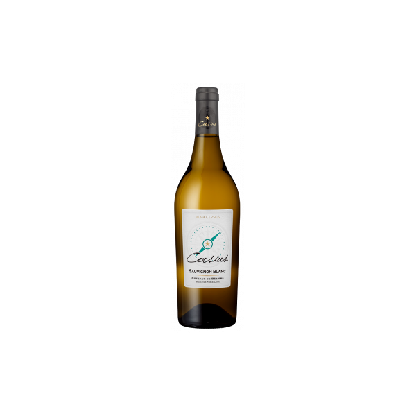 cersius blanc - sauvignon 2022 - alma cersius