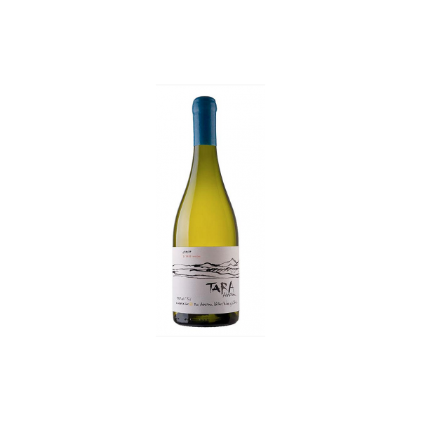 viña ventisquero tara white wine n°3 2022 - sauvignon blanc - tara