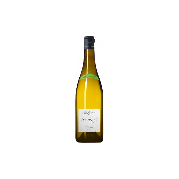 sauvignon blanc - attitude 2023 - pascal jolivet