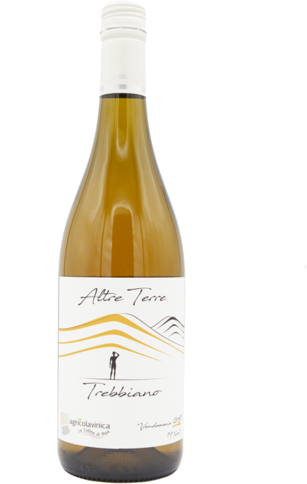 Vinica Trebbiano Lame Del Sorbo Igt 2019 Cl 75