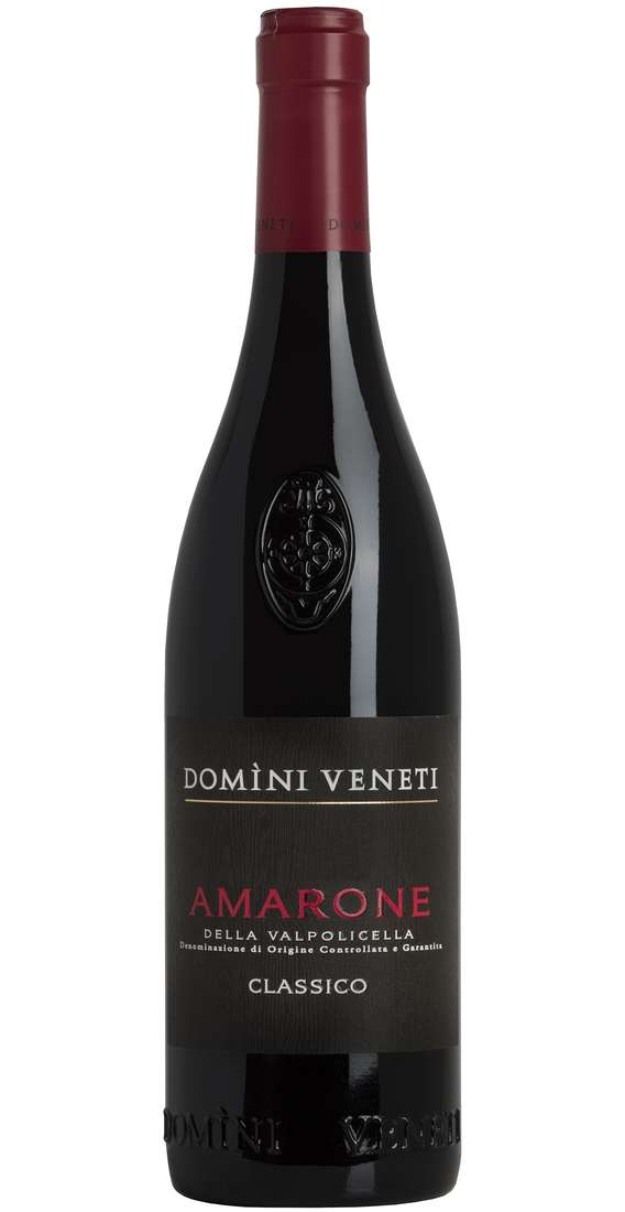 DOMINI VENETI Amarone della valpolicella classico docg