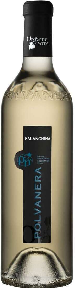 Polvanera Falanghina bio