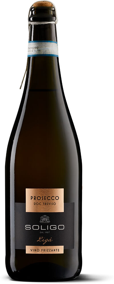 Soligo LIGA' Prosecco DOC Treviso Frizzante