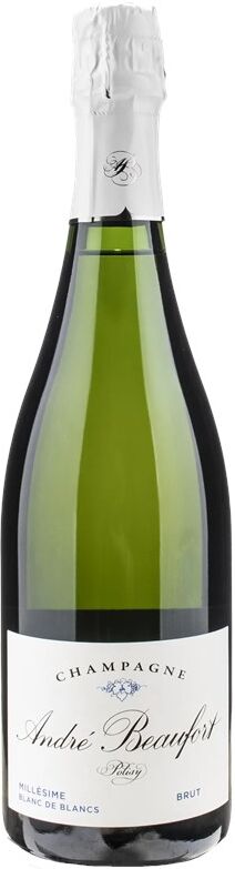 Andre Beaufort Champagne Polisy Blanc de Blancs Brut Millesime 2009